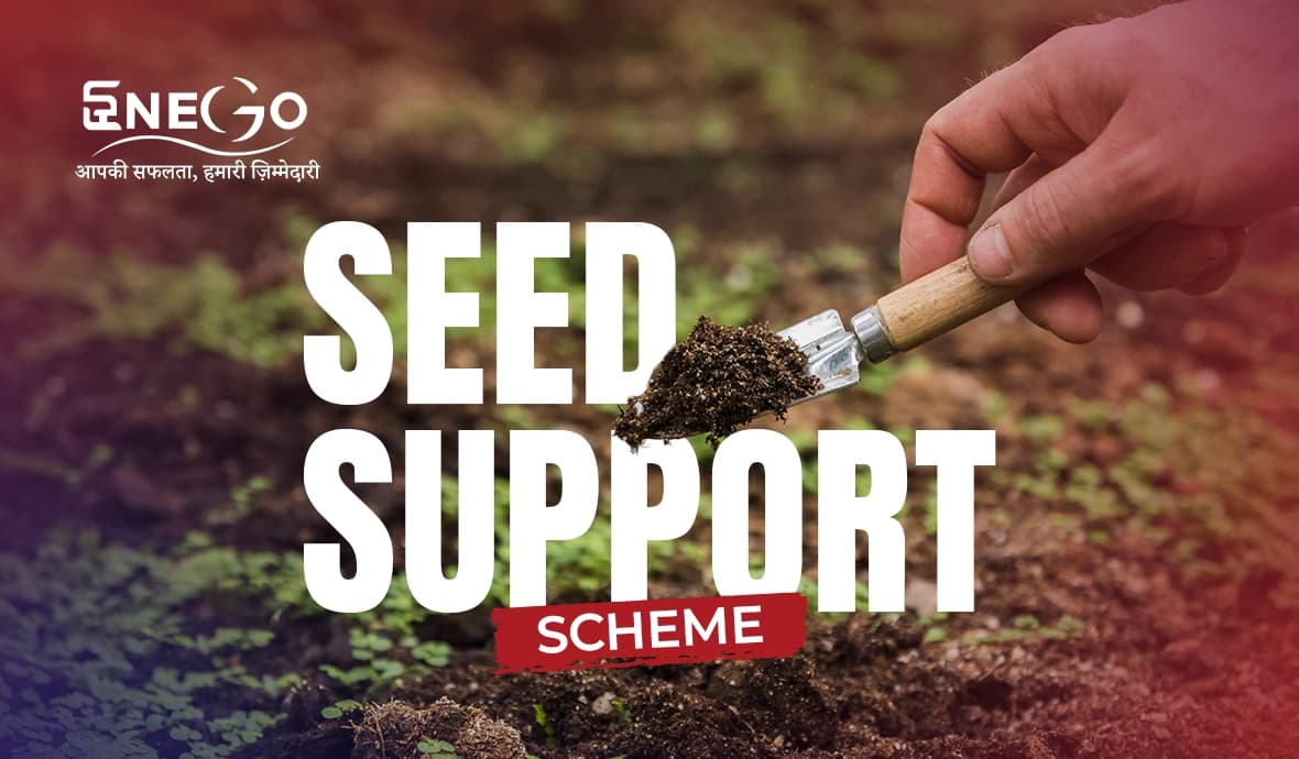 Startup Support Scheme (SSS)